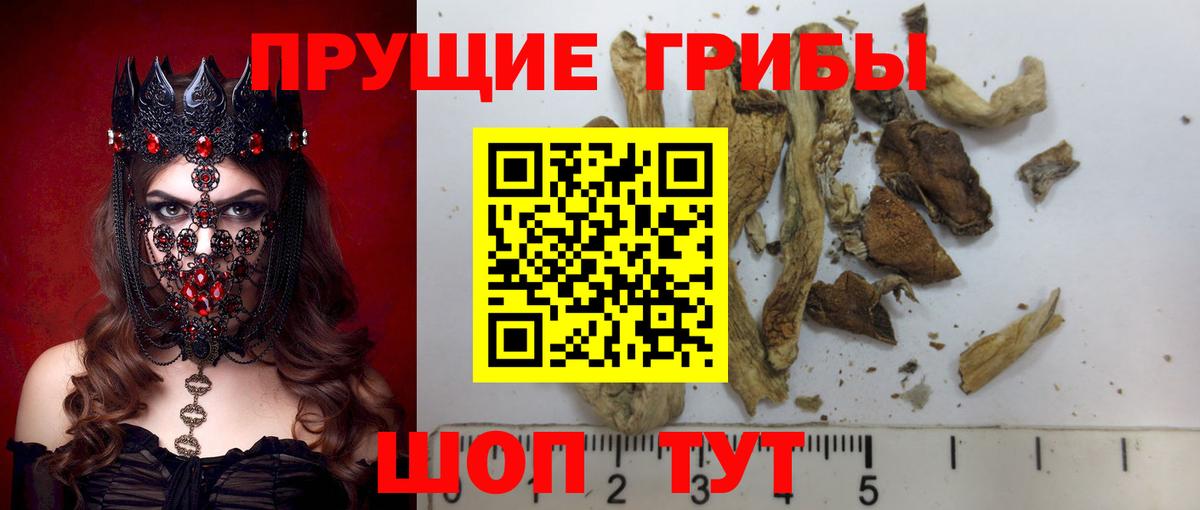 Галлюциногенные грибы Magic Shrooms Воронеж