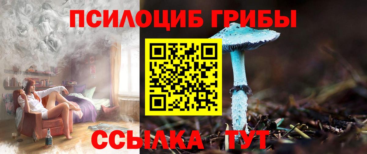 Воронеж  Галлюциногенные грибы Cubensis  Вход с VPN  Псилоцибиновые грибы Psilocybe 
